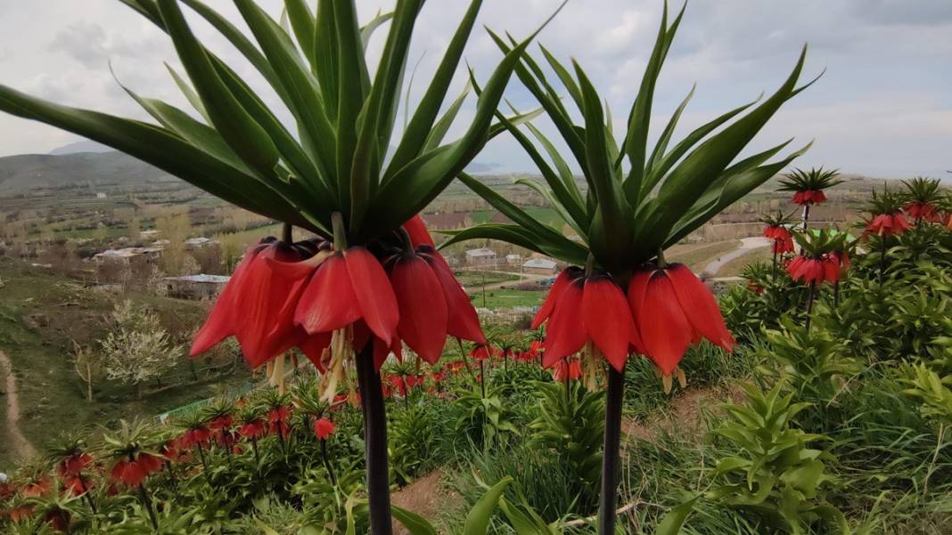 Bu insanlar neye bakıyor? Gece-gündüz nöbet tutuyorlar, ilk kez görenler şaştı kaldı! 40